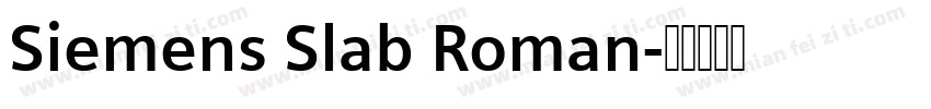 Siemens Slab Roman字体转换